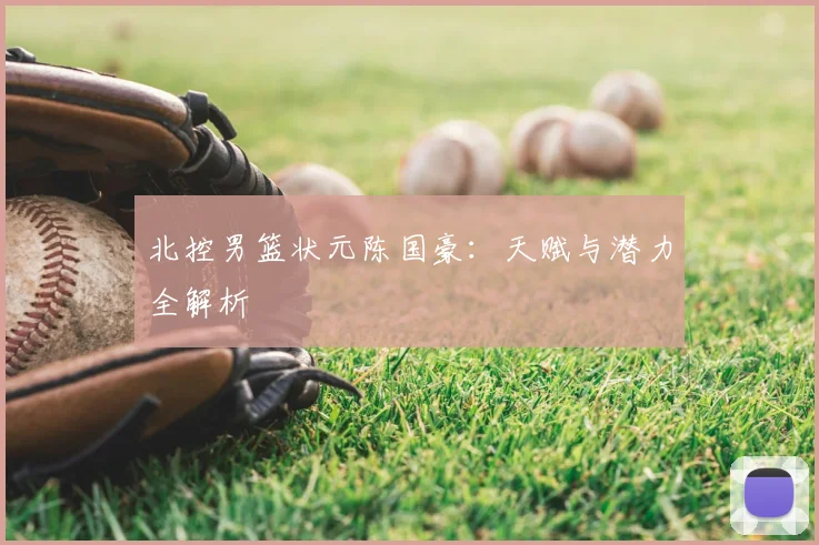 北控男篮状元陈国豪:天赋与潜力全解析