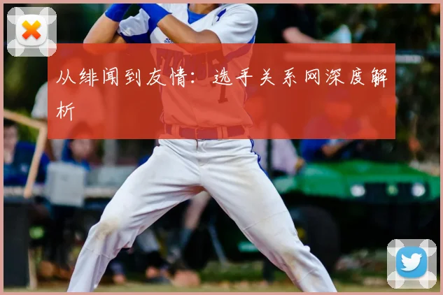 从绯闻到友情：选手关系网深度解析