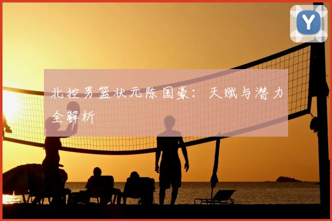 北控男篮状元陈国豪:天赋与潜力全解析